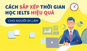 sap-xep-thoi-gian-hoc-ielts-cho-nguoi-di-lam