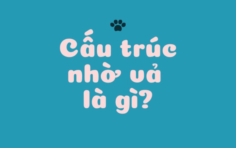 Cấu trúc nhờ vả là gì