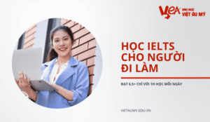 Chiến lược học IELTS cho người đi làm